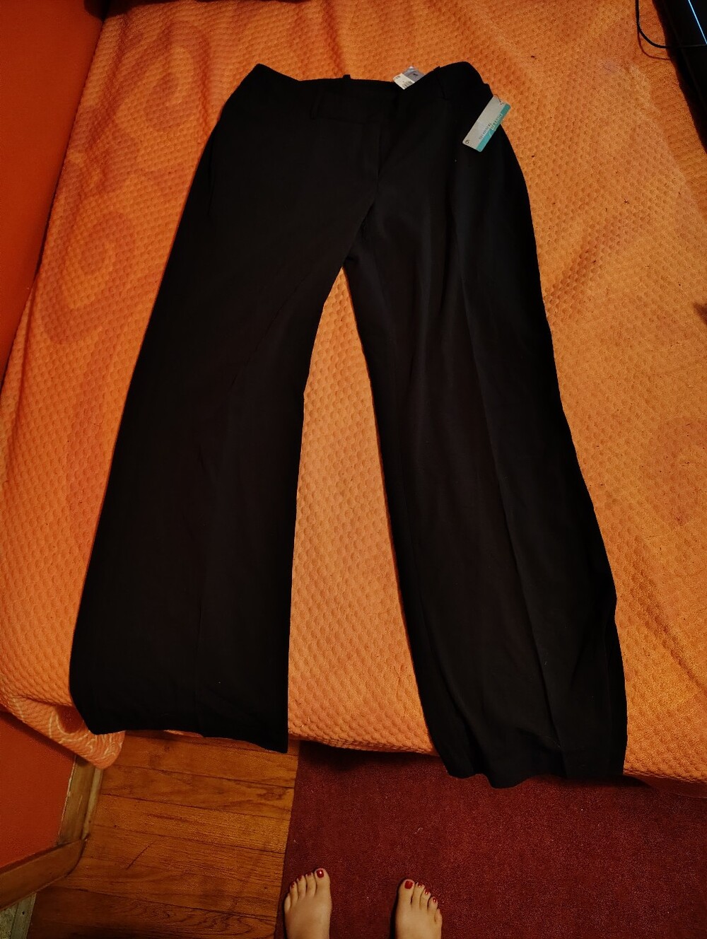 Worthington Womens Curvy Fit Trouser Leg